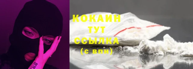 молекула духа Каменногорск