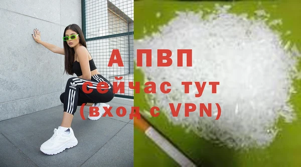 молекула духа Каменногорск
