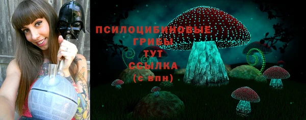 тгк Каменск-Шахтинский