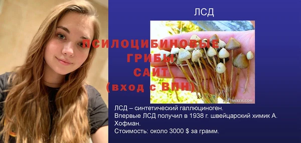 наркотики Каменка