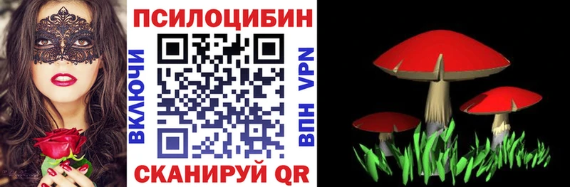закладка  Жуков  Псилоцибиновые грибы ЛСД 