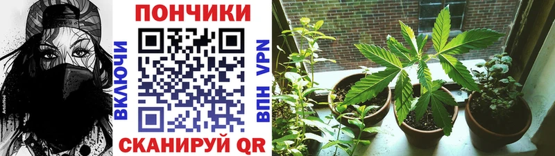 купить закладку  mega ONION  Каннабис ГИДРОПОН  Жуков 